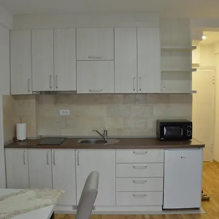 Rajak شقة Vrnjačka Banja